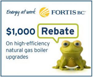 pghs-Natural-gas-boiler-and-combination-heating-and-hot-water-system